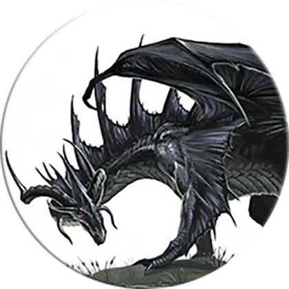 The Rook & The Raven