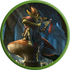 The Rook & The Raven