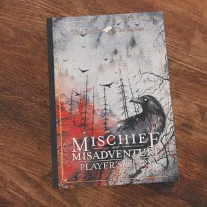 D&D 5e / 2024 Player's Diary (International Edition)